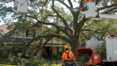 Lancaster, PA emergency tree service crew removing storm-damaged fallen trees safely