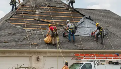 Lancaster, PA arborists clearing storm-damaged trees and downed limbs for safe property cleanup
