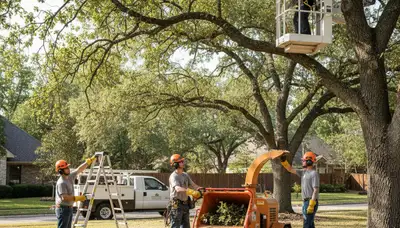 Lancaster, PA arborist pruning a tree for healthier growth and property protection
