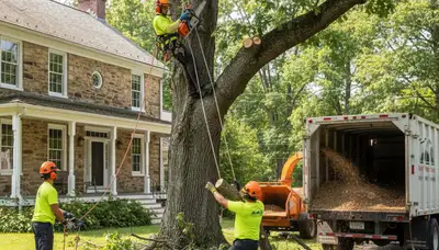 Tree service team in Lancaster, PA providing professional tree removal and trimming for homes and businesses