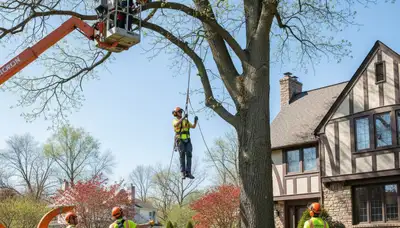 Tree service crew in Lancaster, PA providing safe tree removal and trimming for homeowners